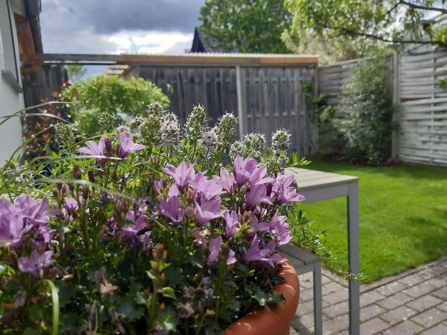 Mit Innenhof, Rasen Und Parkplatz Apartment Altlussheim